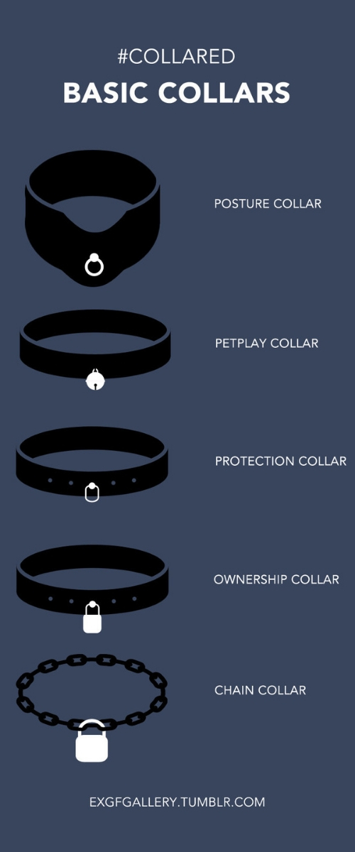 Infographic about types of BDSM collars