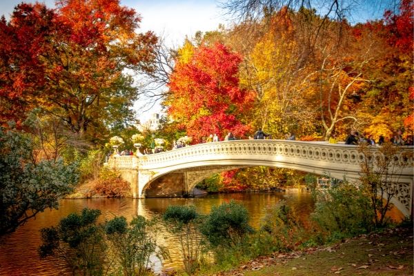 Central park in New York