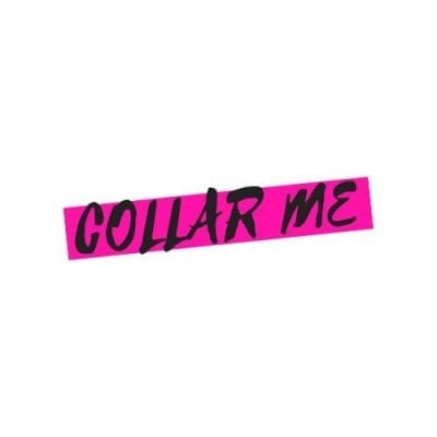 Collare me - idea sessuale kinky
