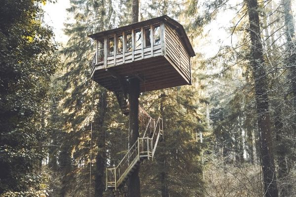 Treehouse