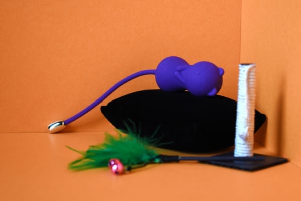 Kegel Kitty on bed with toys