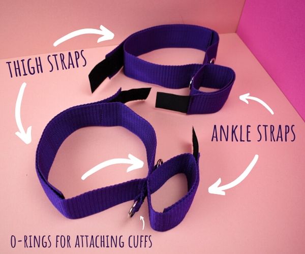 Purple Reins restraint