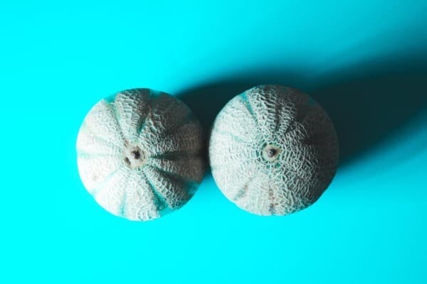 Breast concept