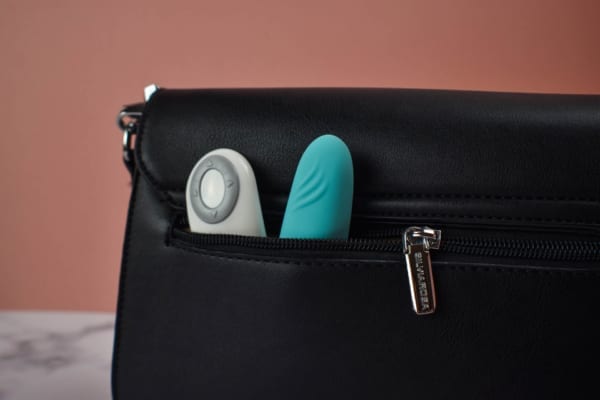 Moxie in a purse
