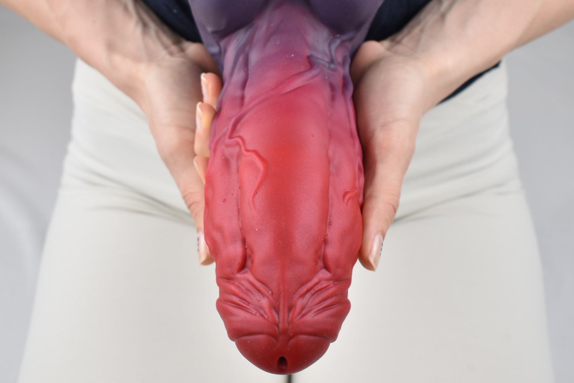 Top down view of Nothosaur Banner