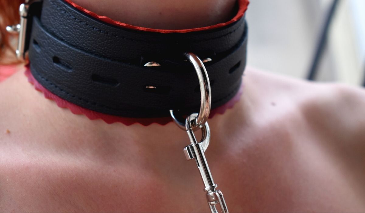 Close-up of a collar and a leash