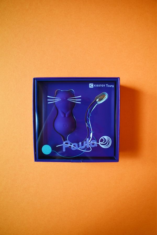 Paula Kegel Kitty Boxed