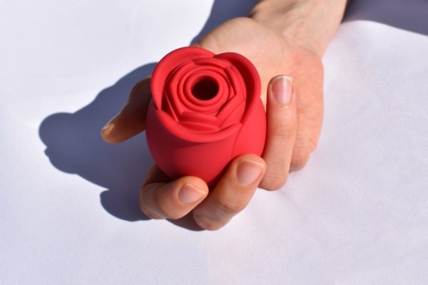 girl holding inya rose