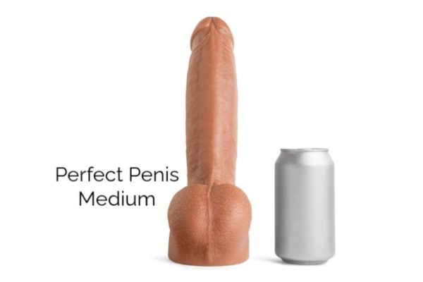 perfect penis medium dildo and a can